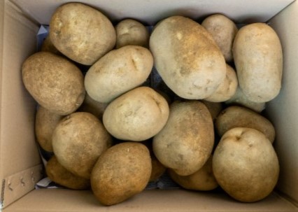 감자(왕왕) 20kg[BOX]