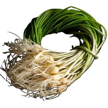 달래 1kg내외[봉]