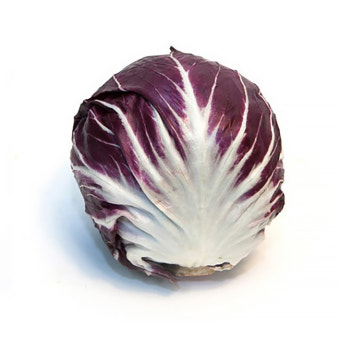 라디치오 1개[봉]