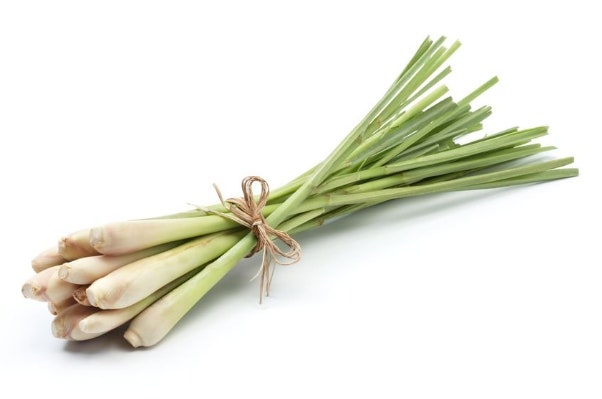 레몬그라스 1kg[봉]