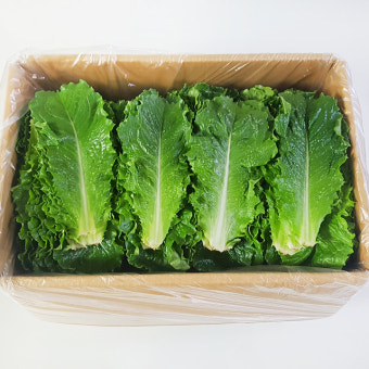 로메인(특쌈） 2kg[BOX]