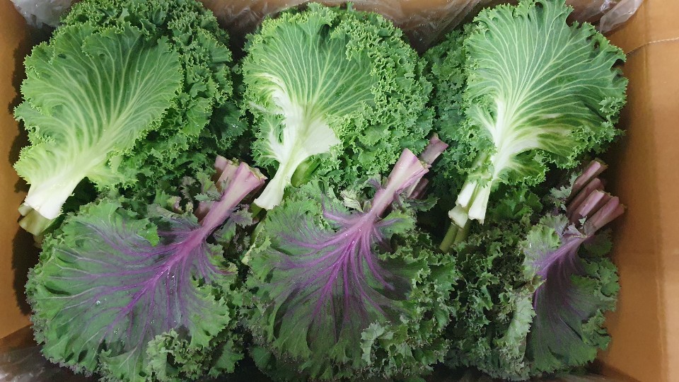 로즈잎(특쌈) 1kg[BOX]