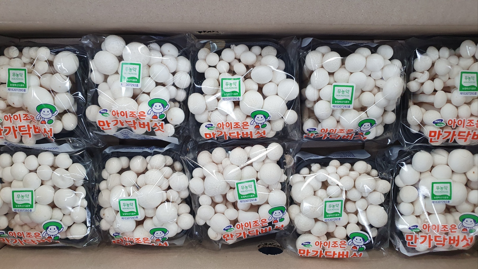 만가닥버섯 (흰색,10입)[BOX]