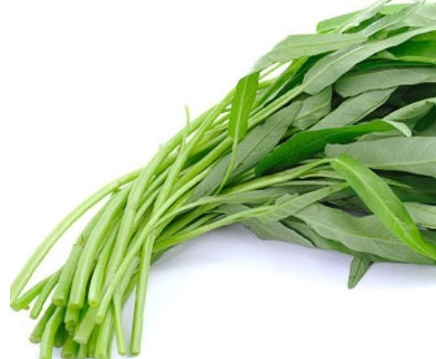 모닝글로리(공심채) 1kg[BOX]