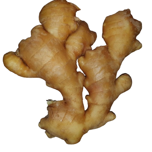 생강(수입) 3kg[봉]