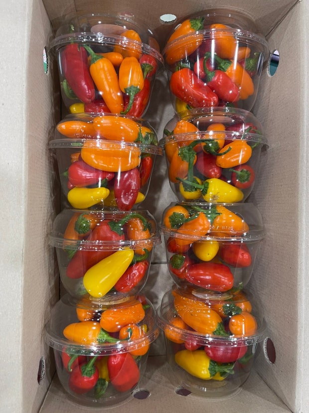 미니파프리카 (10입)[BOX]