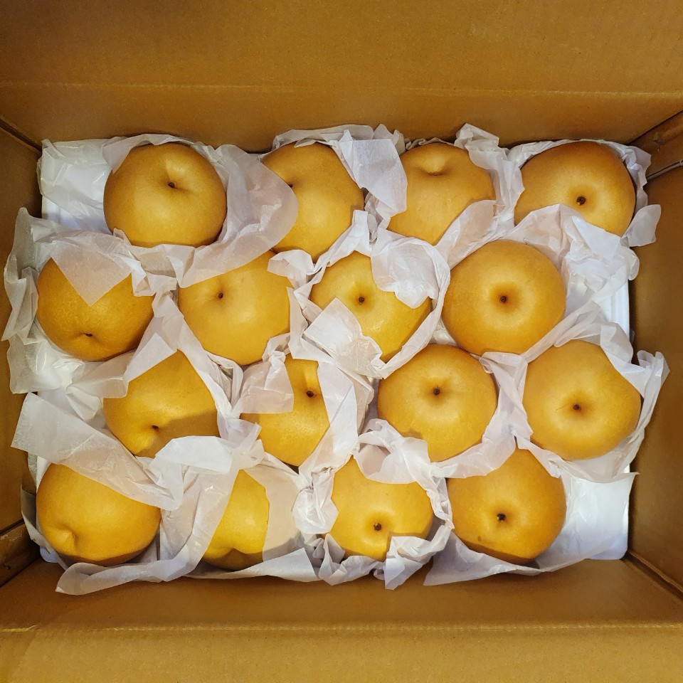 배35내(15kg) [BOX]