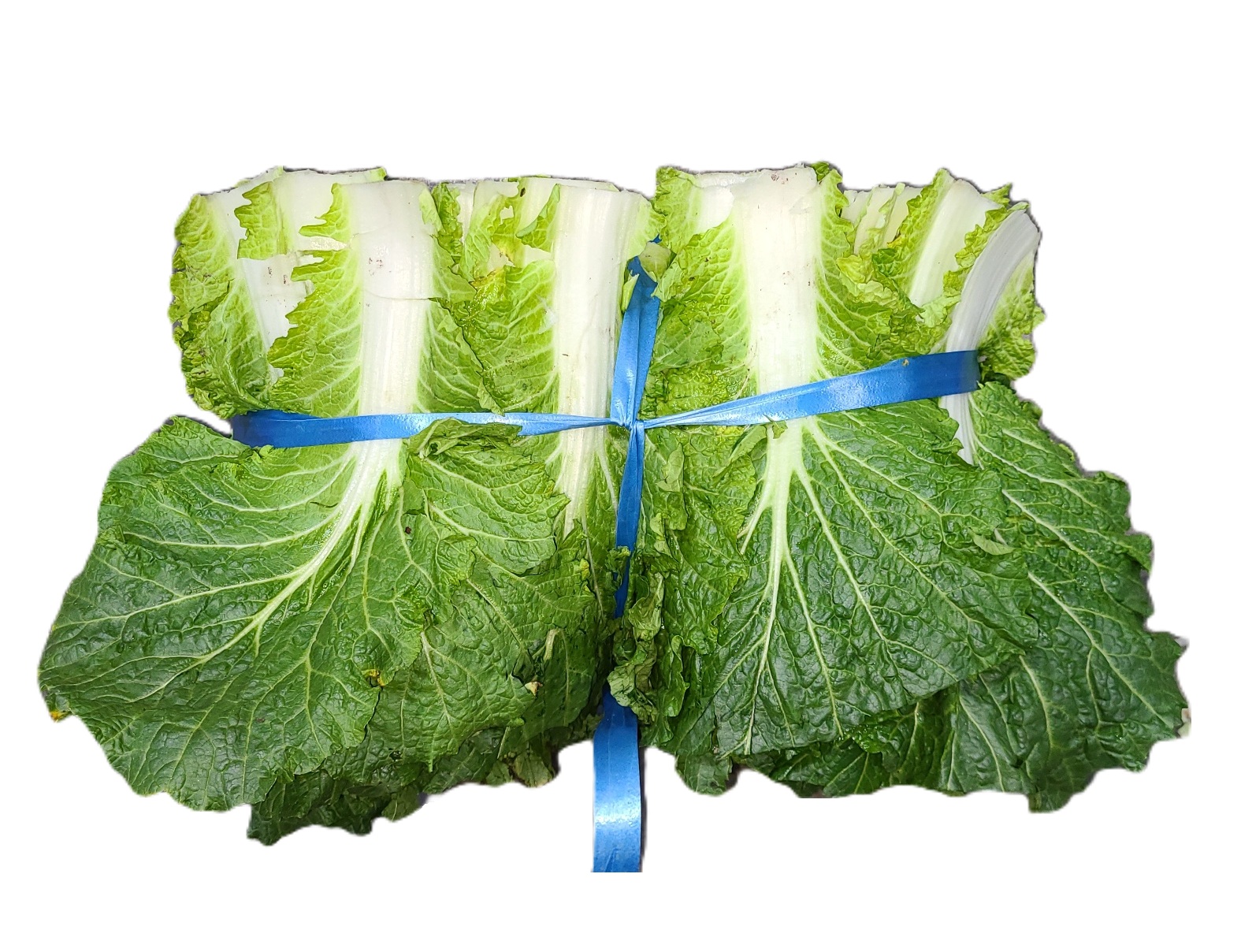 배추우거지 8kg 내외 1단