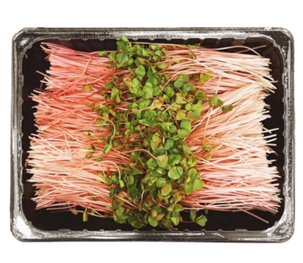 베이비적메밀순 500g[팩]