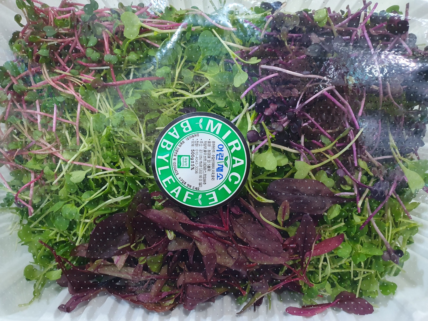 베이비채소(대) 500g[팩]