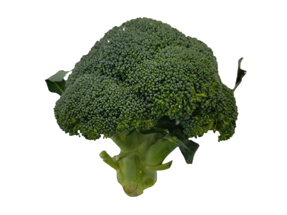 브로콜리 2입[봉]