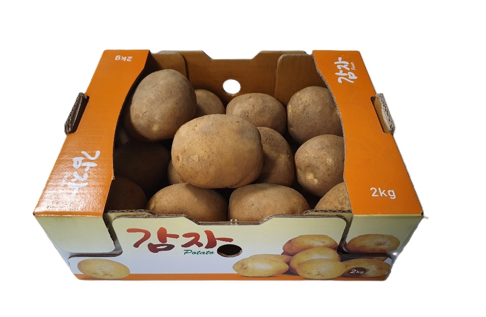 감자 2kg[BOX]
