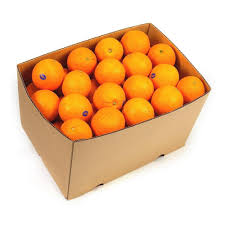 오렌지72과  [BOX]