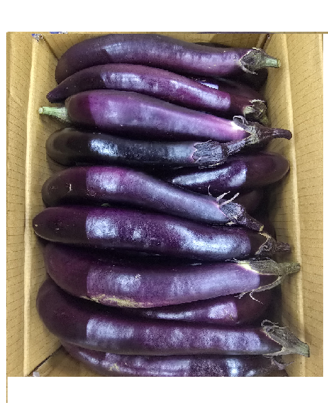 가지(상) 8kg[BOX]