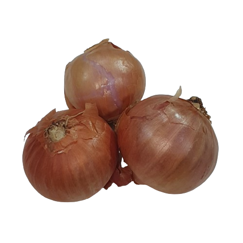 샬롯(미니양파)  100g[봉]