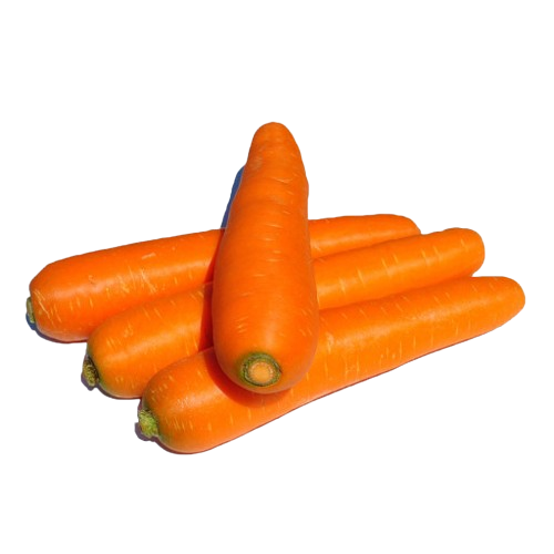 세척당근(3L) 10kg[BOX]