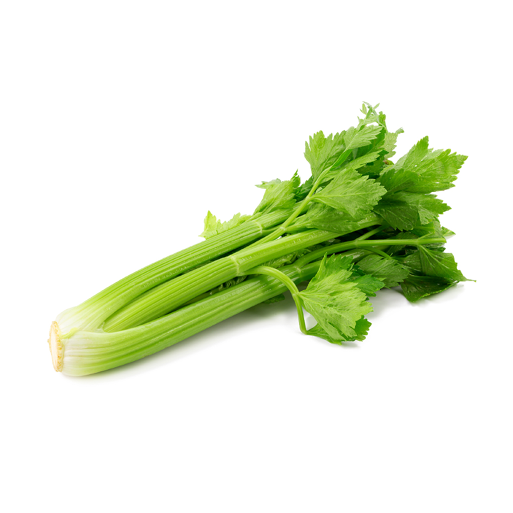 셀러리 1단[봉]