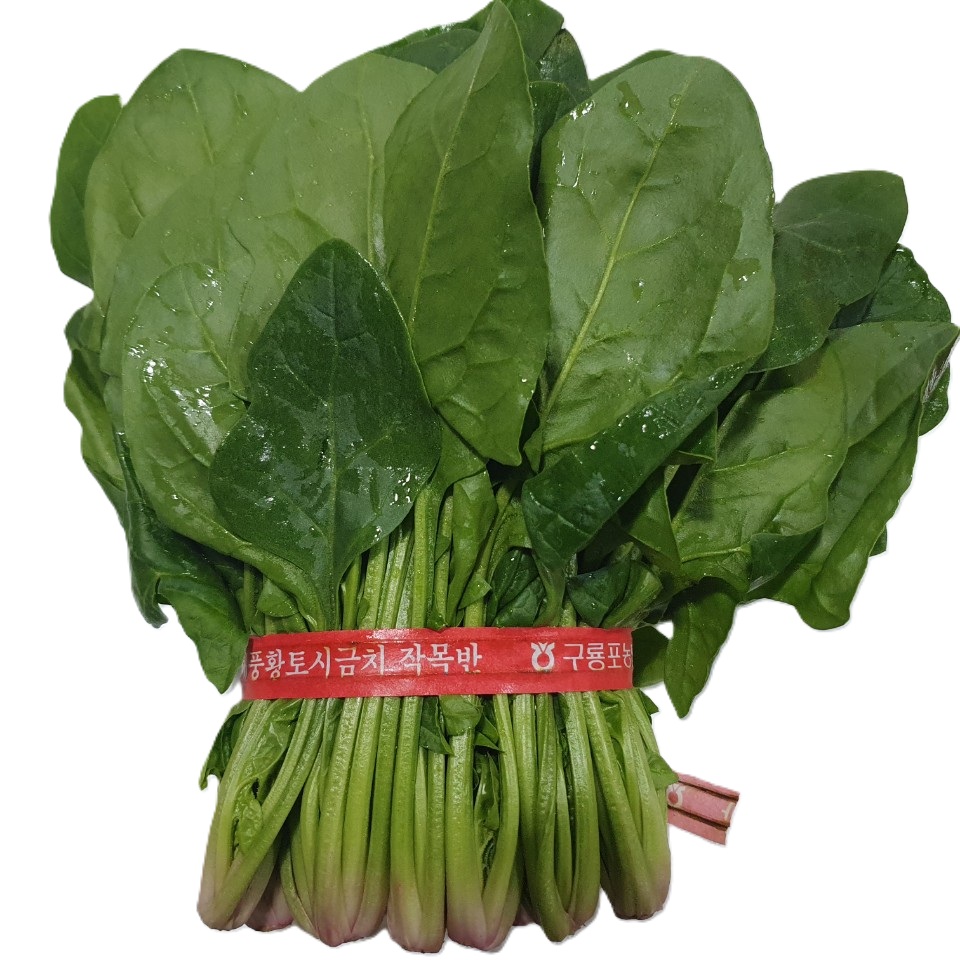 시금치(포항초) 1단[봉]