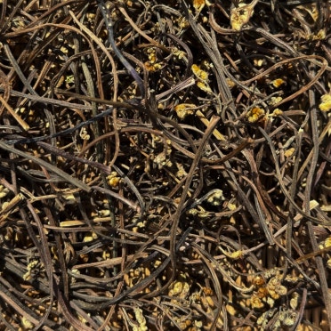 건고사리 1kg[봉]