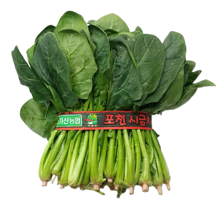 시금치 1단[봉]