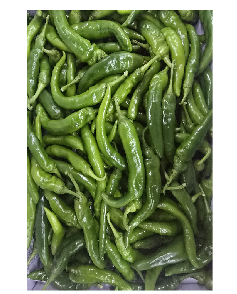 아삭이고추(상) 10kg[BOX]