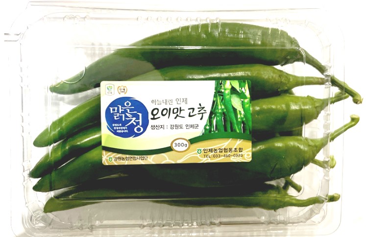 아삭이고추 300g[팩]