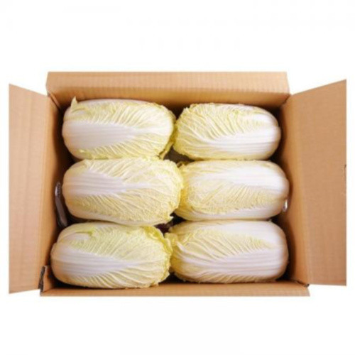 알배기배추(특) 12입[BOX]