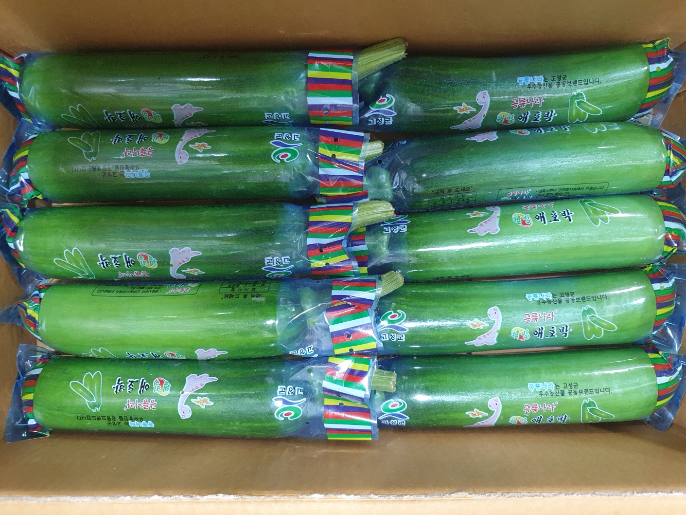 애호박(인큐) 20입[BOX]