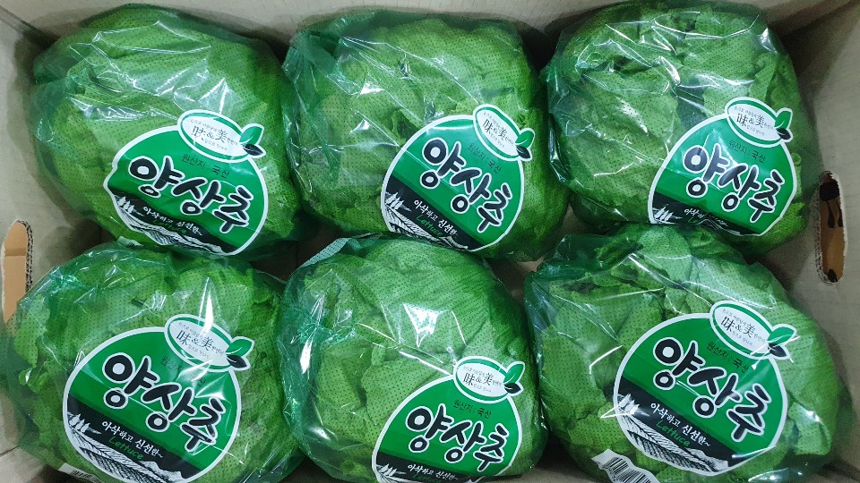 양상추(국산) 6입[BOX]