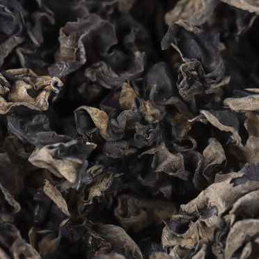 건목이버섯 1kg[봉]