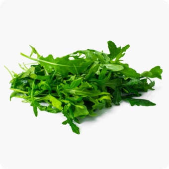 허브 와일드로꼴라 500g[팩]