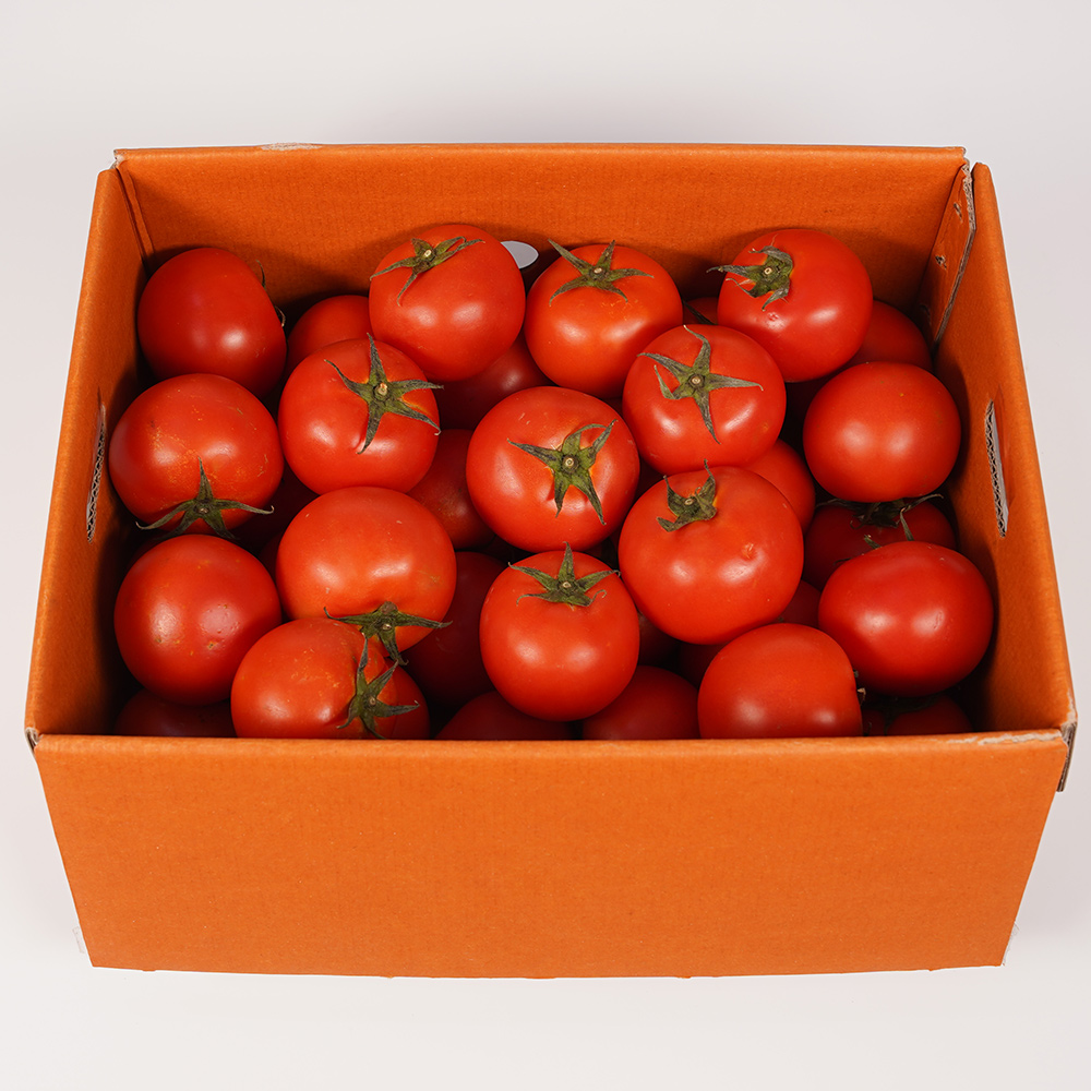 완숙토마토(3번) 5kg[BOX]