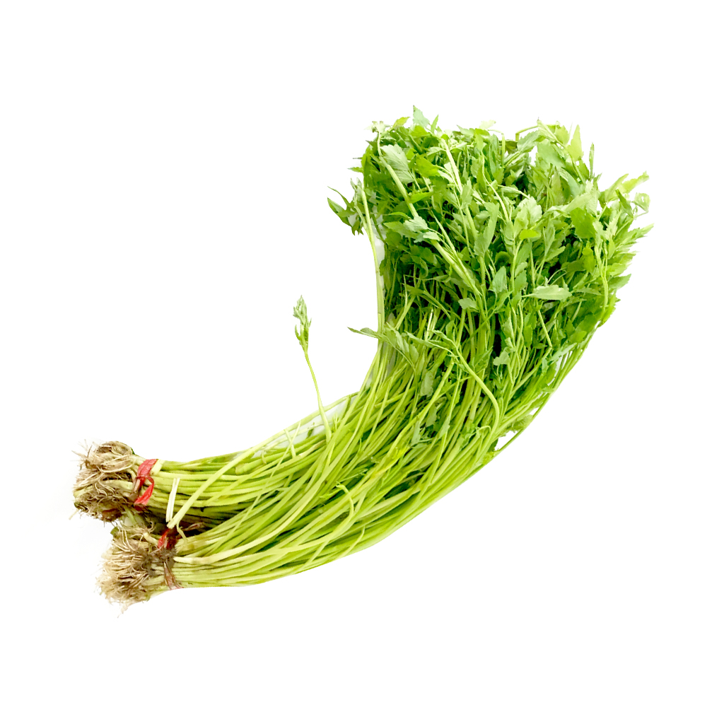 미나리 약450g 1단[봉]