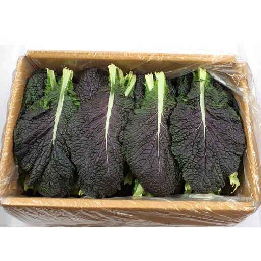 적겨자(특쌈) 2kg[BOX]