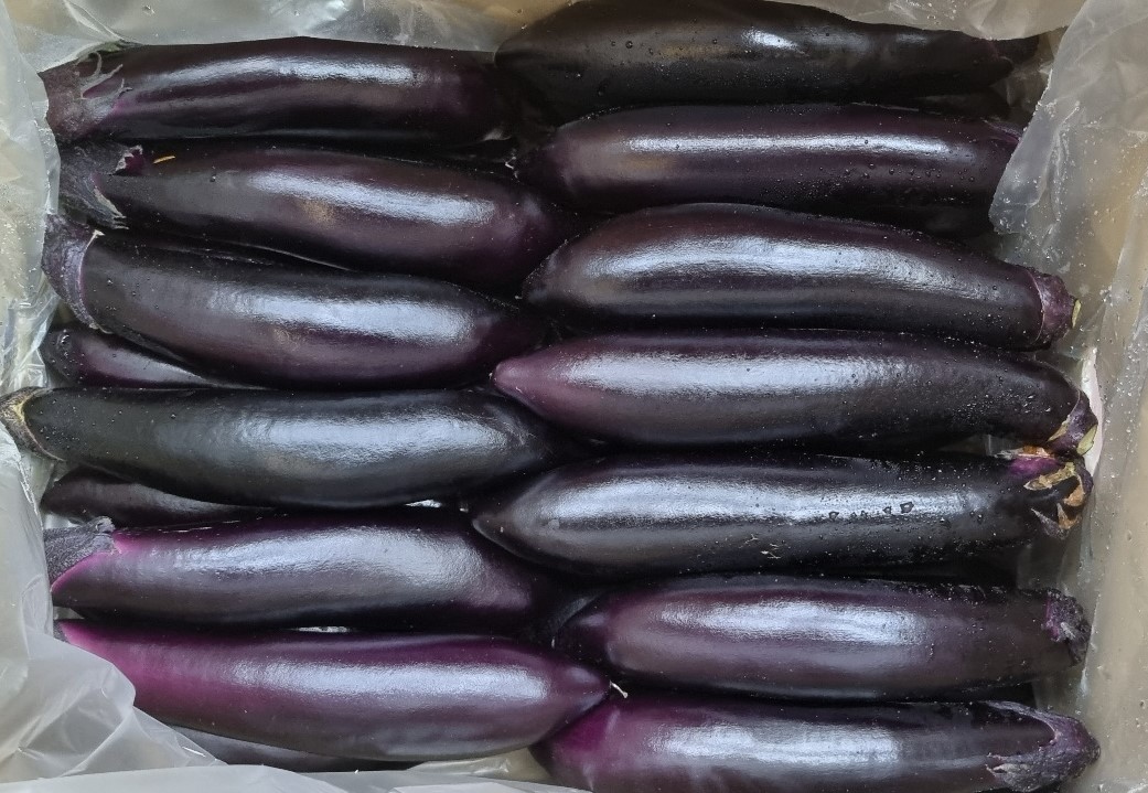 가지(특) 5kg[BOX]