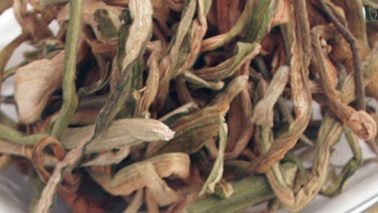 건토란대 1kg[봉]