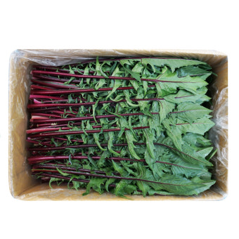 적치커리(특쌈) 2kg[BOX]