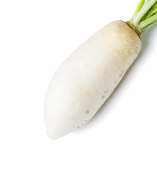 제주월동무우(7~9수/박스)