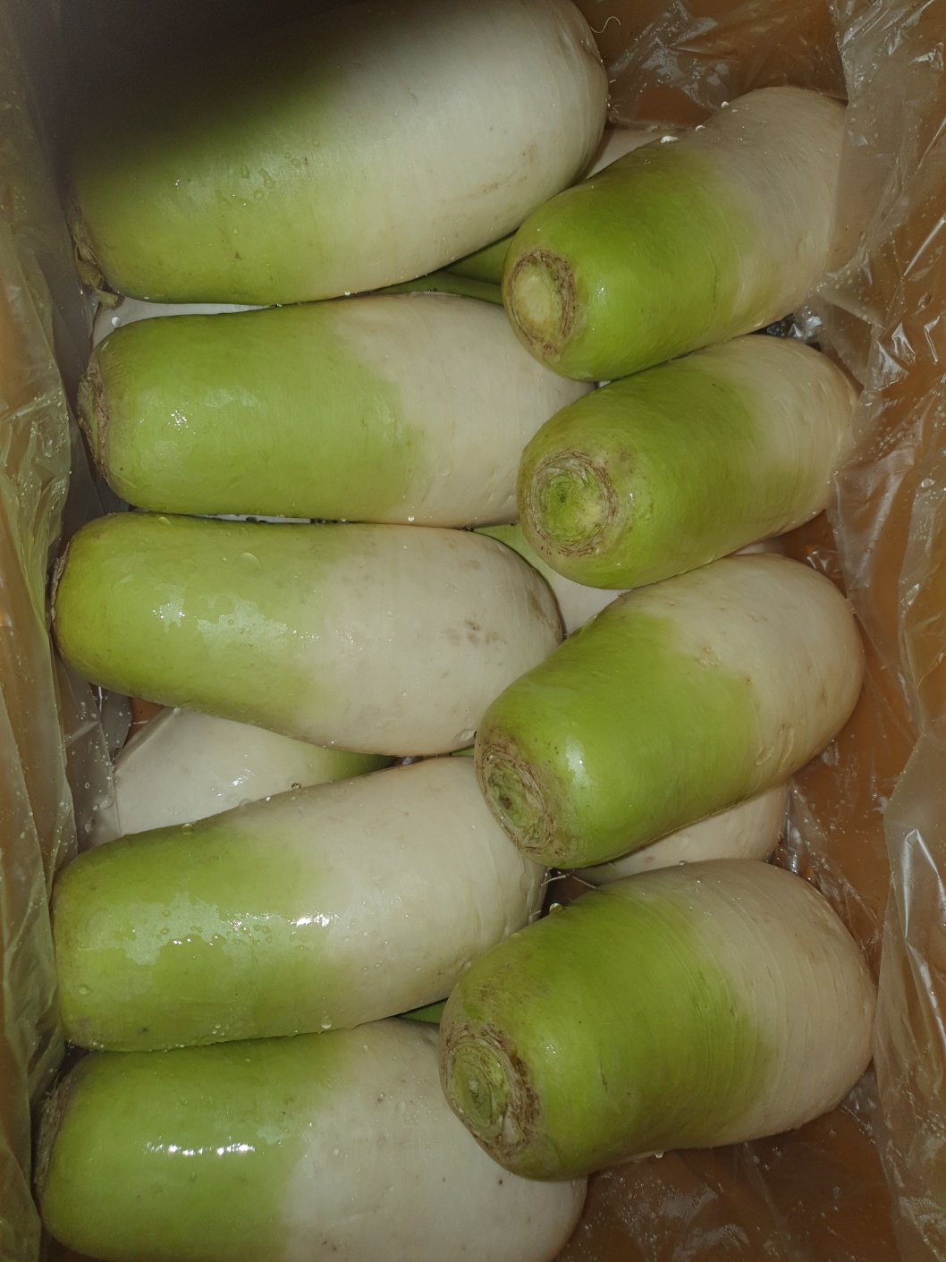 제주월동무우(13~15수/박스)