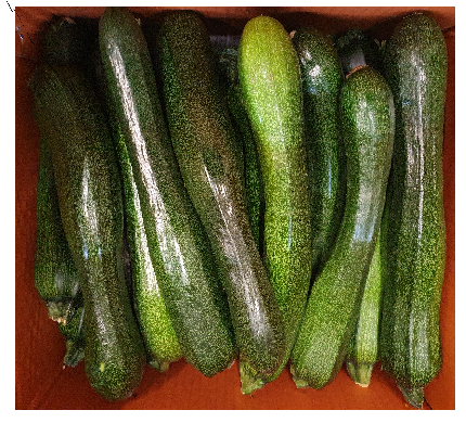 쥬키니호박(상) 10kg[BOX]