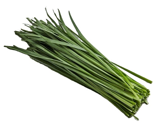 허브 차이브 약5g[팩]