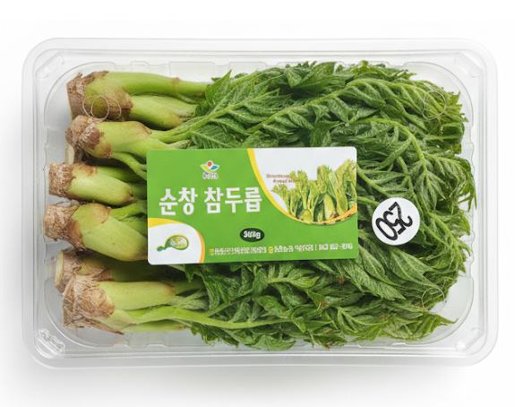 참두릅 500g[팩]