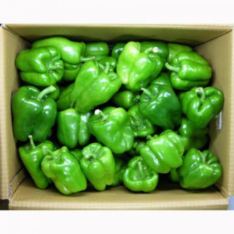 청피망(특) 10kg[BOX]