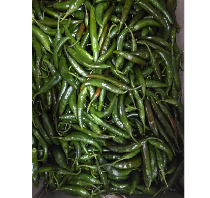 청양고추(상) 10kg[BOX]