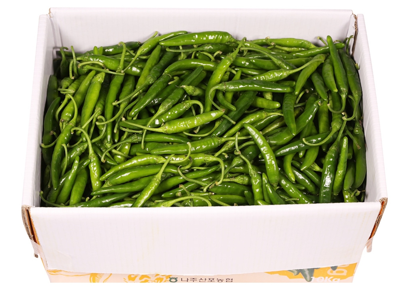 청양고추(특) 10kg[BOX]