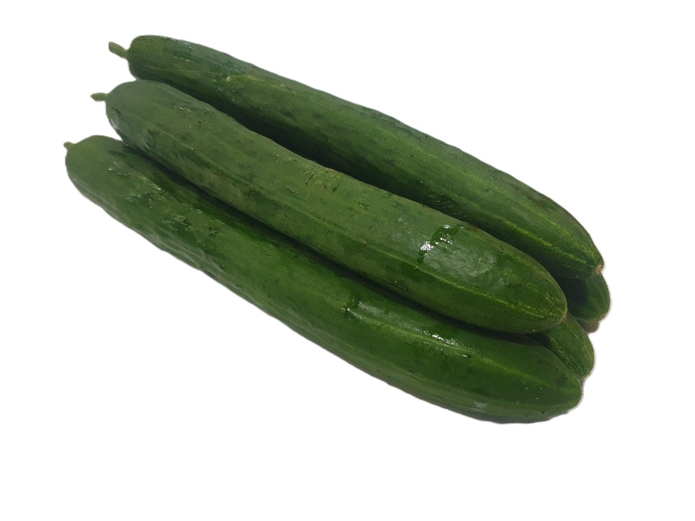 취청오이 5입[봉]