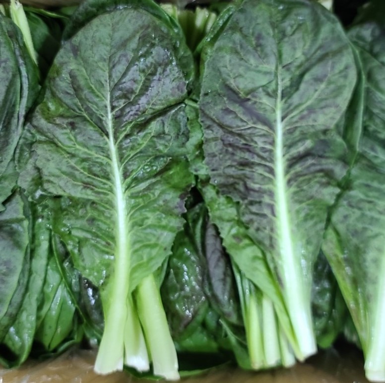 치콘(특쌈) 2kg[BOX]