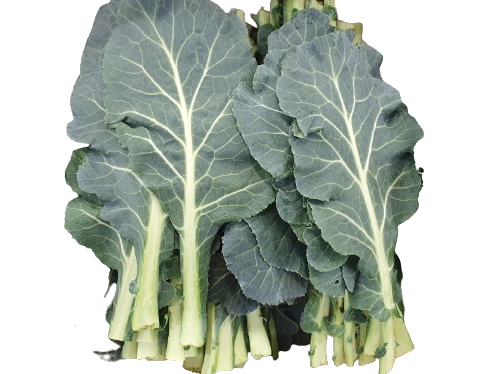 케일(특쌈) 2kg[BOX]