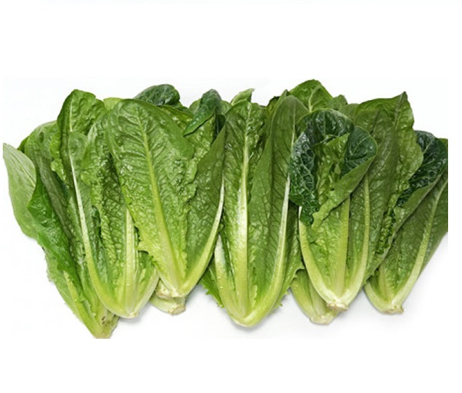 통로메인 2kg[BOX]