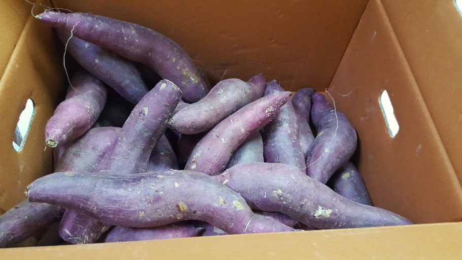 밤고구마(긴상) 10kg[BOX]